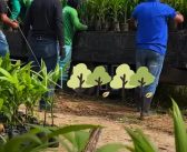 Mais incentivo , mais produção, mais oportunidades para  o homem e mulher  do campo!
