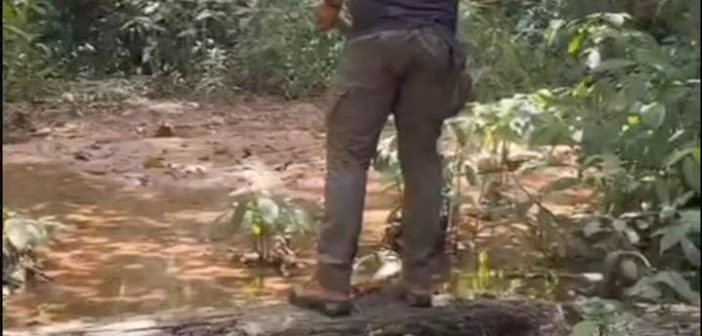 Resgate com cuidado e respeito à natureza!