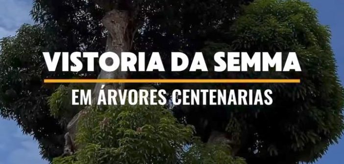 Cuidar da nossa história também é preservar  o meio ambiente!